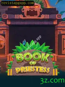 Descubra o Fascinante Mundo de BookOfPriestess