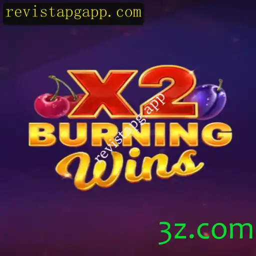 Explorando o Mundo do Jogo BurningWinsX2: Um Mergulho Detalhado